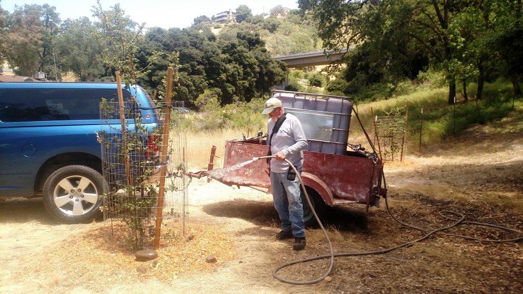 Watering near the entrance to Stadium Park.